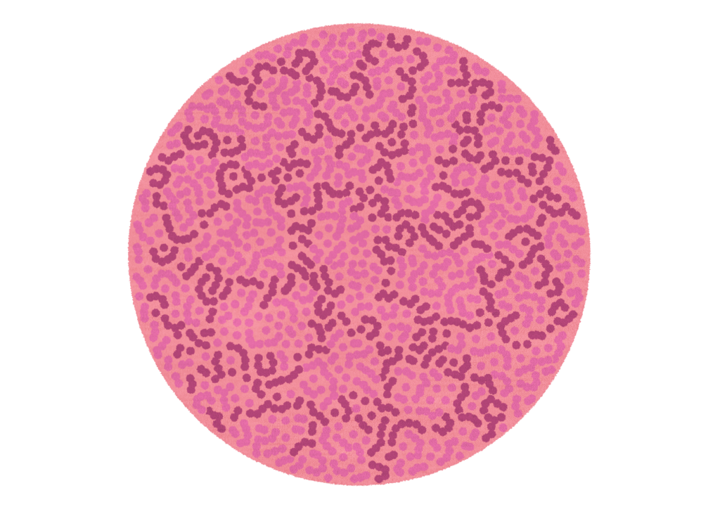 Corail